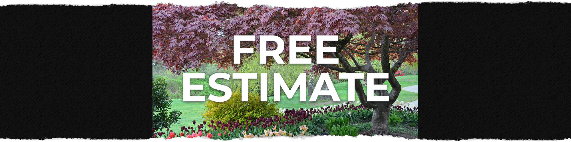 Free Estimate