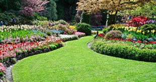 Gorgeous Landscaping