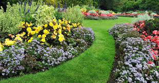 Delightful Landscaping